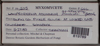 Image Associated With the Occurence